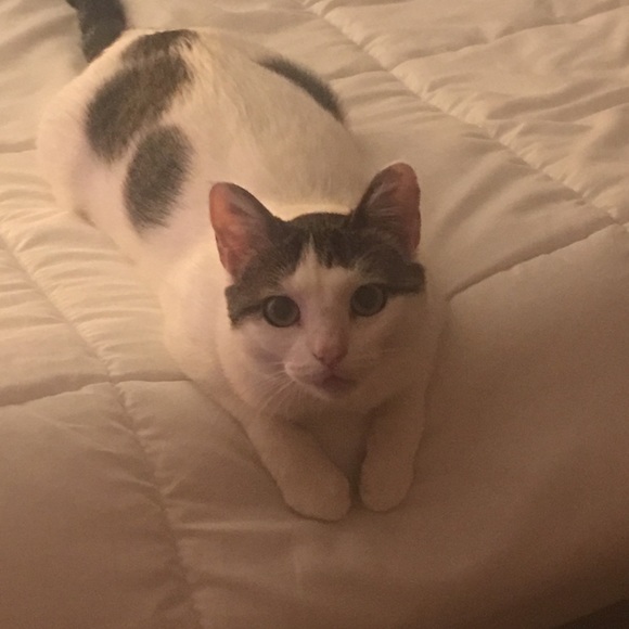 Meet your Posher, Mari - Picture 1 of 1